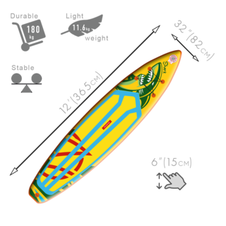 shark12size-2022